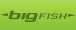 design: bigfish bigfish